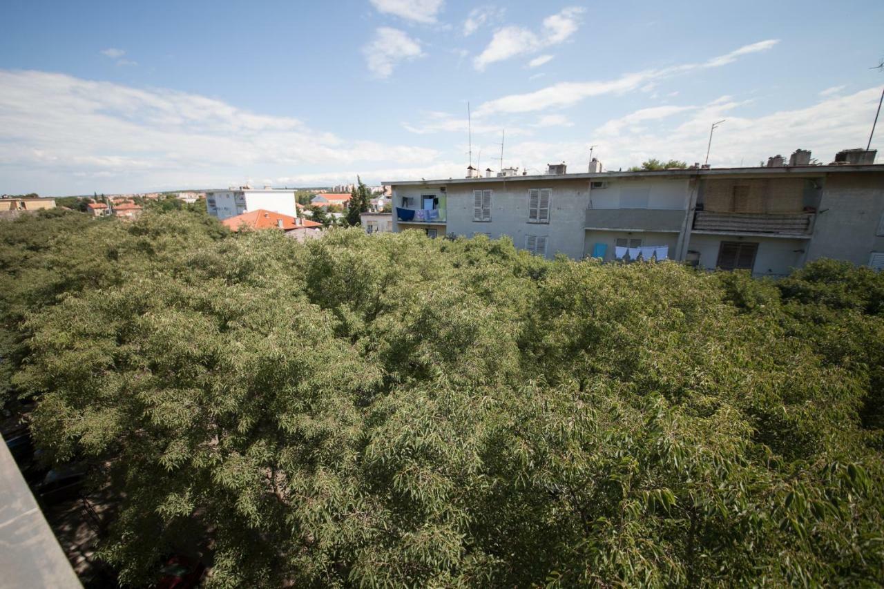 Bordura Apartman Zadar